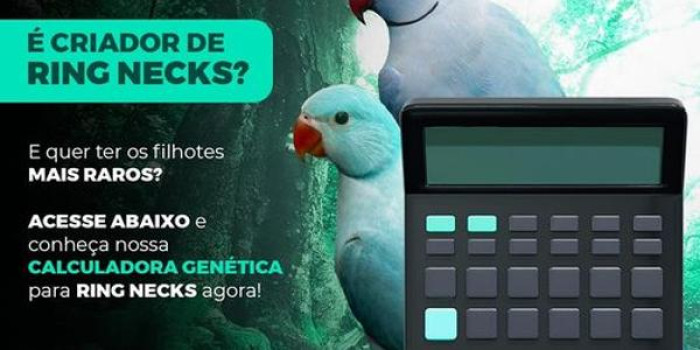 Ofereço RINGNECK E MUTAÇÕES