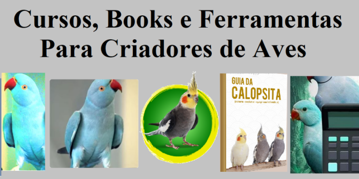 Ofereço CURSOS, E-BOOKS E FERRAMENTAS PARA CRIADORES