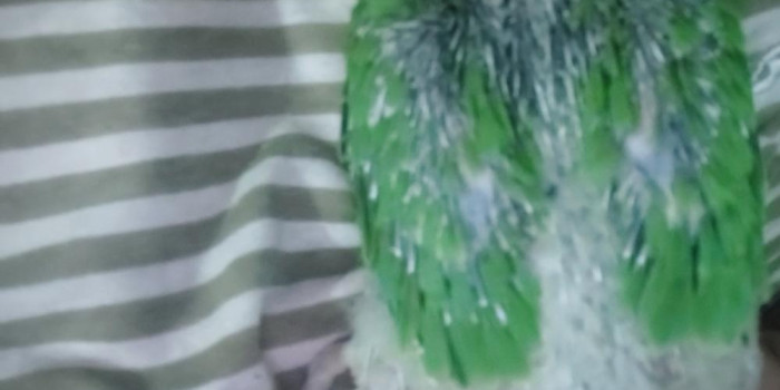 Disponível RINGNECK E MUTAÇÕES